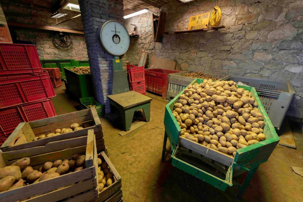 Podere Pratizzoli Tole Extérieur photo