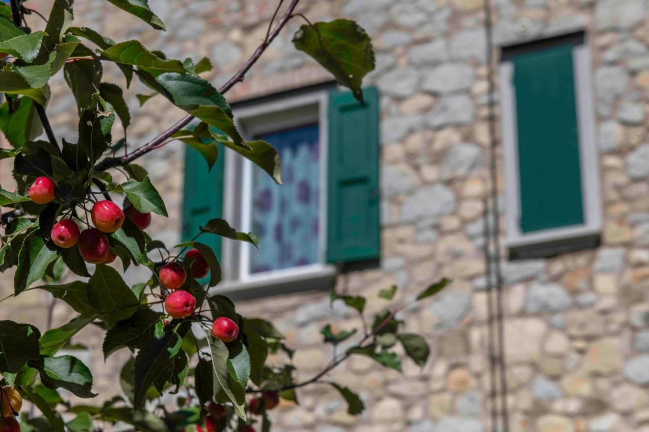 Podere Pratizzoli Tole Extérieur photo