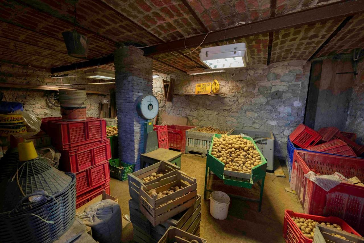Podere Pratizzoli Tole Extérieur photo