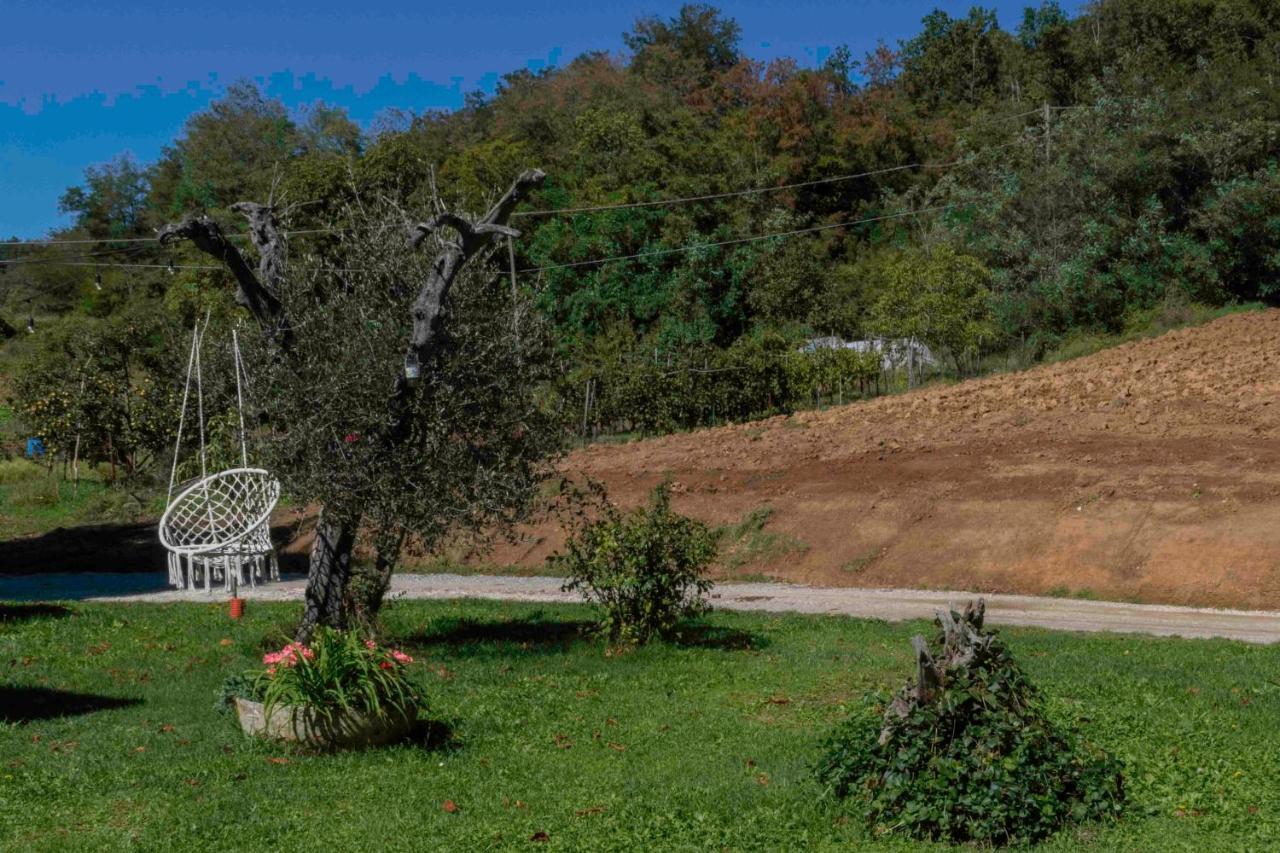 Podere Pratizzoli Tole Extérieur photo