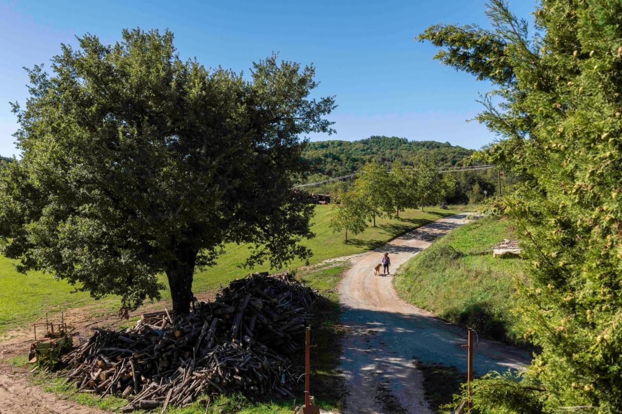 Podere Pratizzoli Tole Extérieur photo